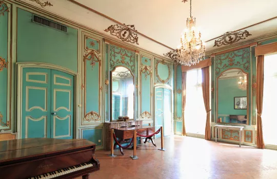 Salons historiques hôtel de Caumont