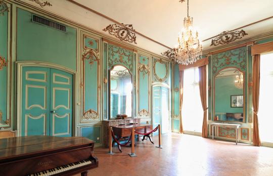 Salons historiques hôtel de Caumont